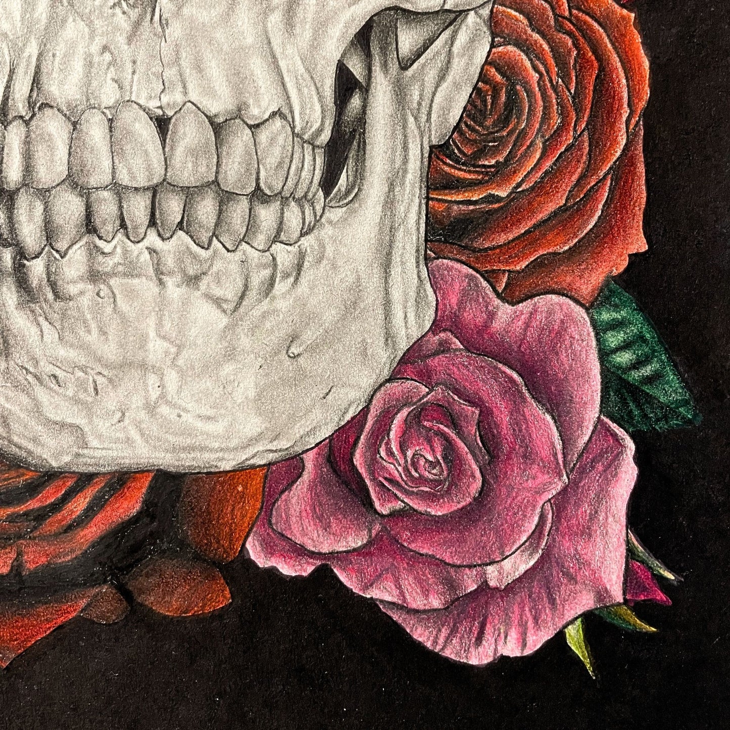 Skull and Roses
