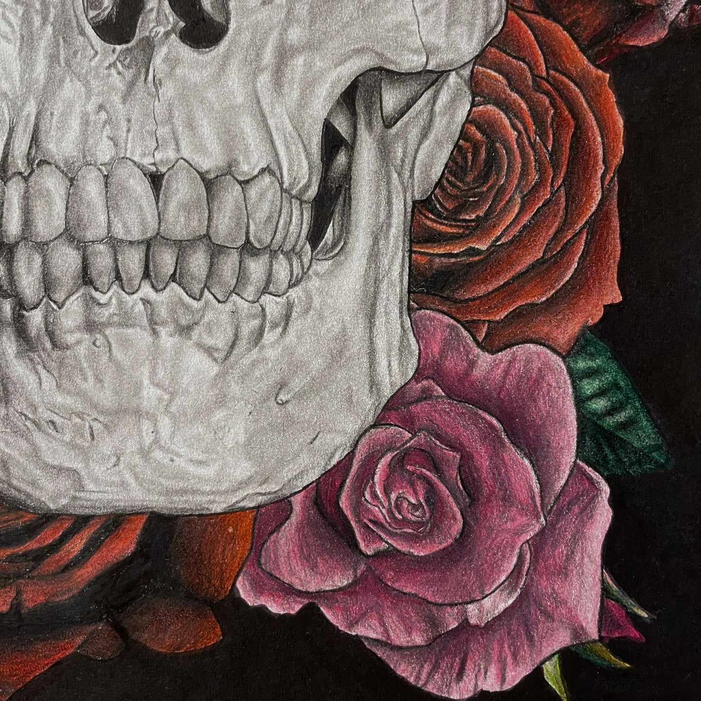 Skull and Roses