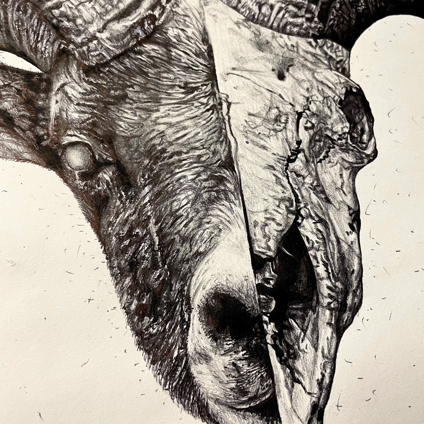 Torn From the Flesh