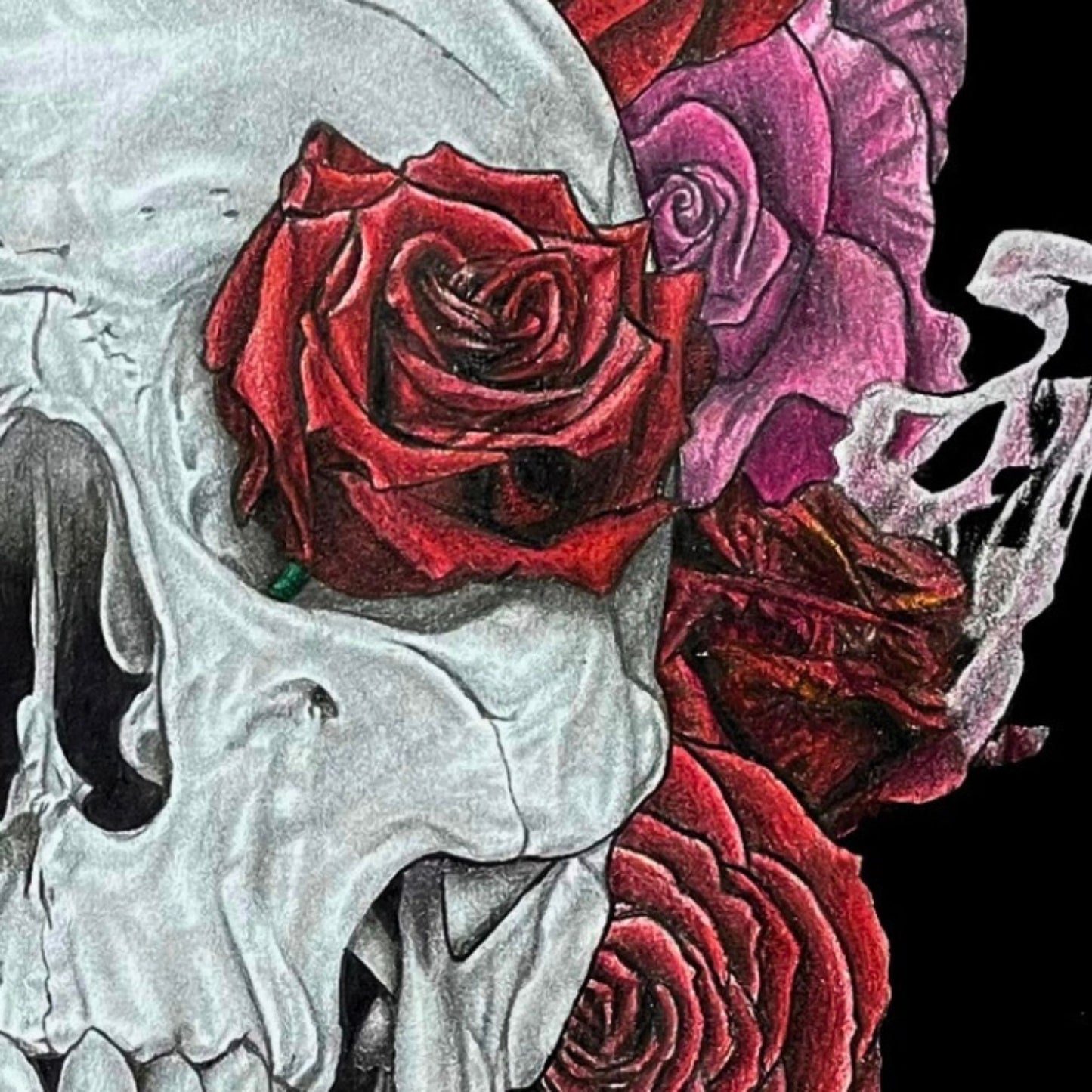 Skull and Roses